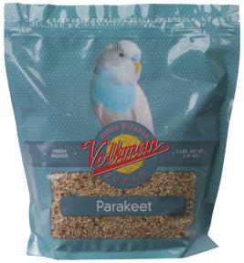 volkman parakeet