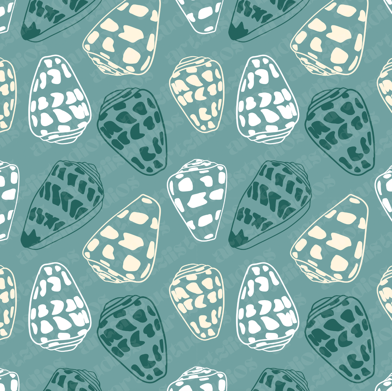 Hebrew Cone Shell Surface Pattern