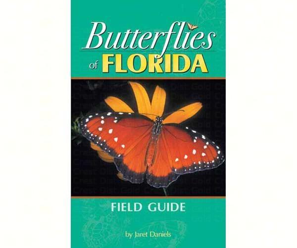 Butterflies Florida Field Guide