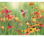 Cobble Hill Rufous Hummingbird 500 Piece Puzzle