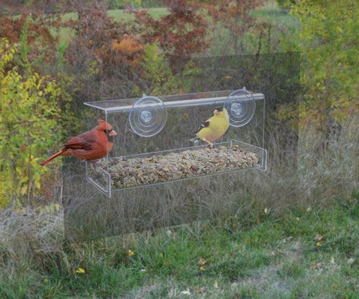 Coveside Panoramic In-House Window Bird Feeder –