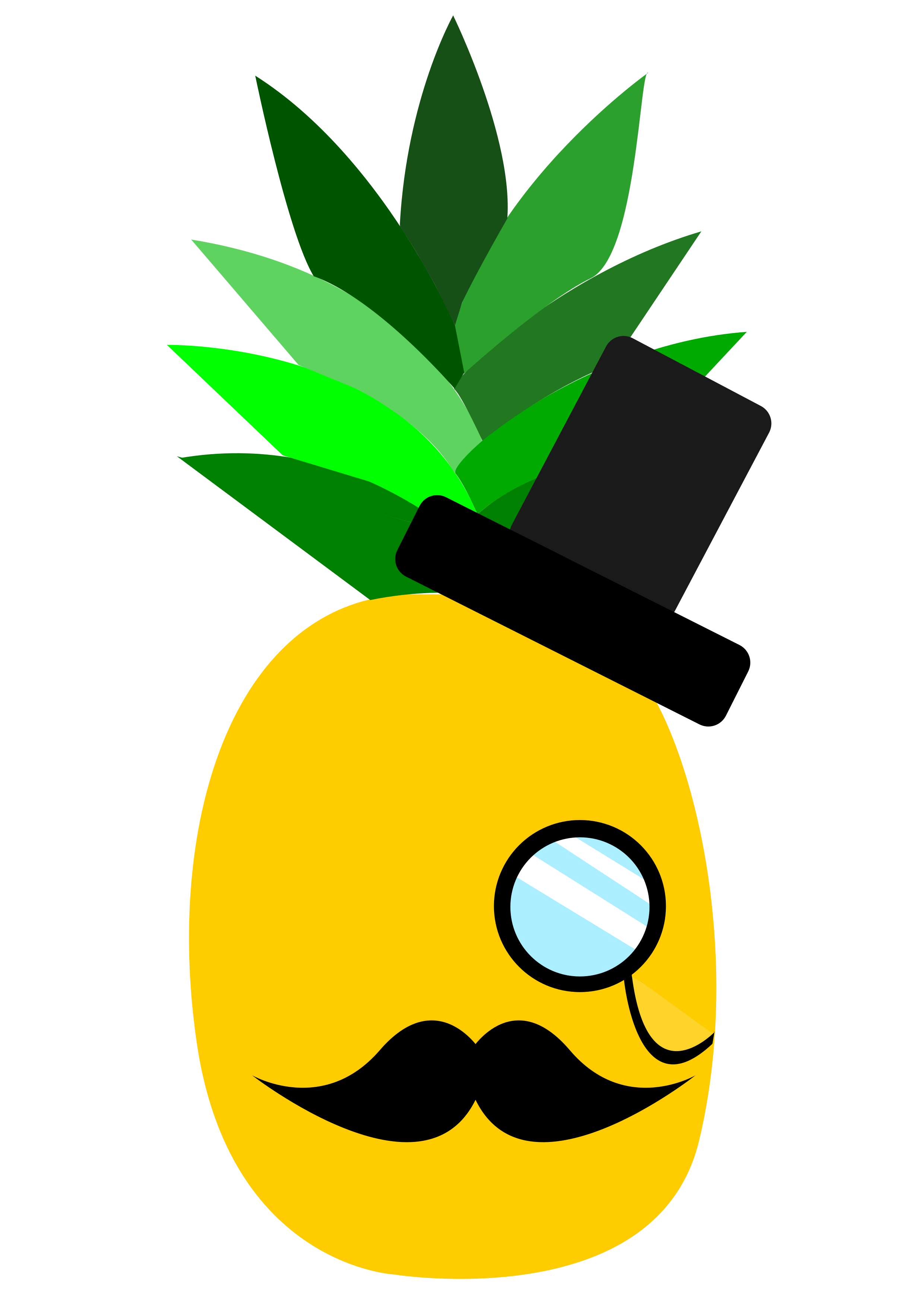 Hipster Pineapple