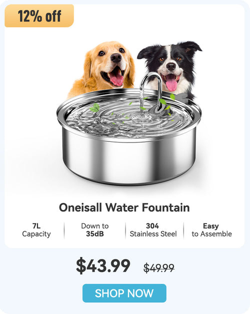 Oneisall Water Fountain.jpg__PID:8035fac7-f192-4134-9c3b-50e1923f0532