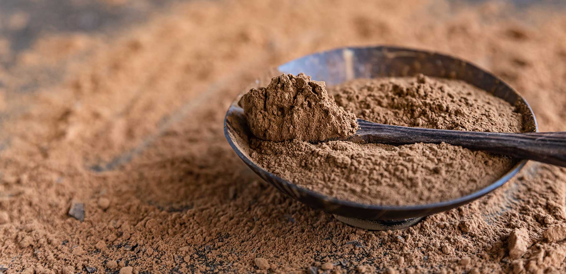 Protein Powders