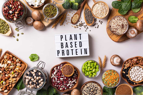 Plant-based Proteins