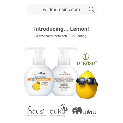 D'Koso x Mumu Antibacterial Foaming Hand Wash (300ml) - Lemon EO