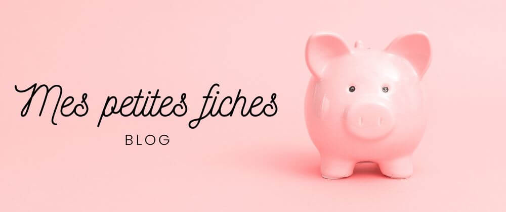 10 Défis enveloppes budget à imprimer – Budget Diary