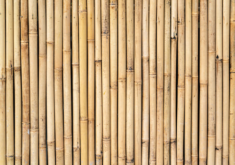 "Natural bamboo fencing enclosing a garden, showcasing a blend of eco-friendliness and aesthetic appeal