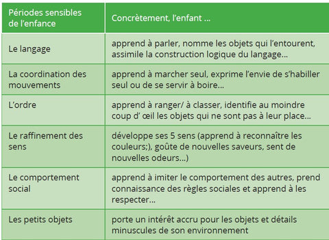 periodes sensibles montessori