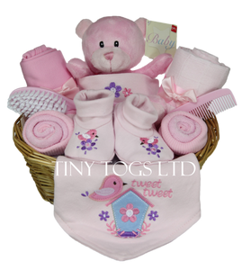 newborn baby girl teddy