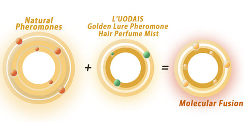 flysmus™ L'UODAIS Golden Lure Pheromone Hair Perfume Mist – KlariMe