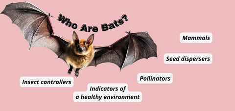 bats don't lay eggs and are protected in some states