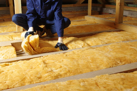 Seal entry points to prevent rats in the house