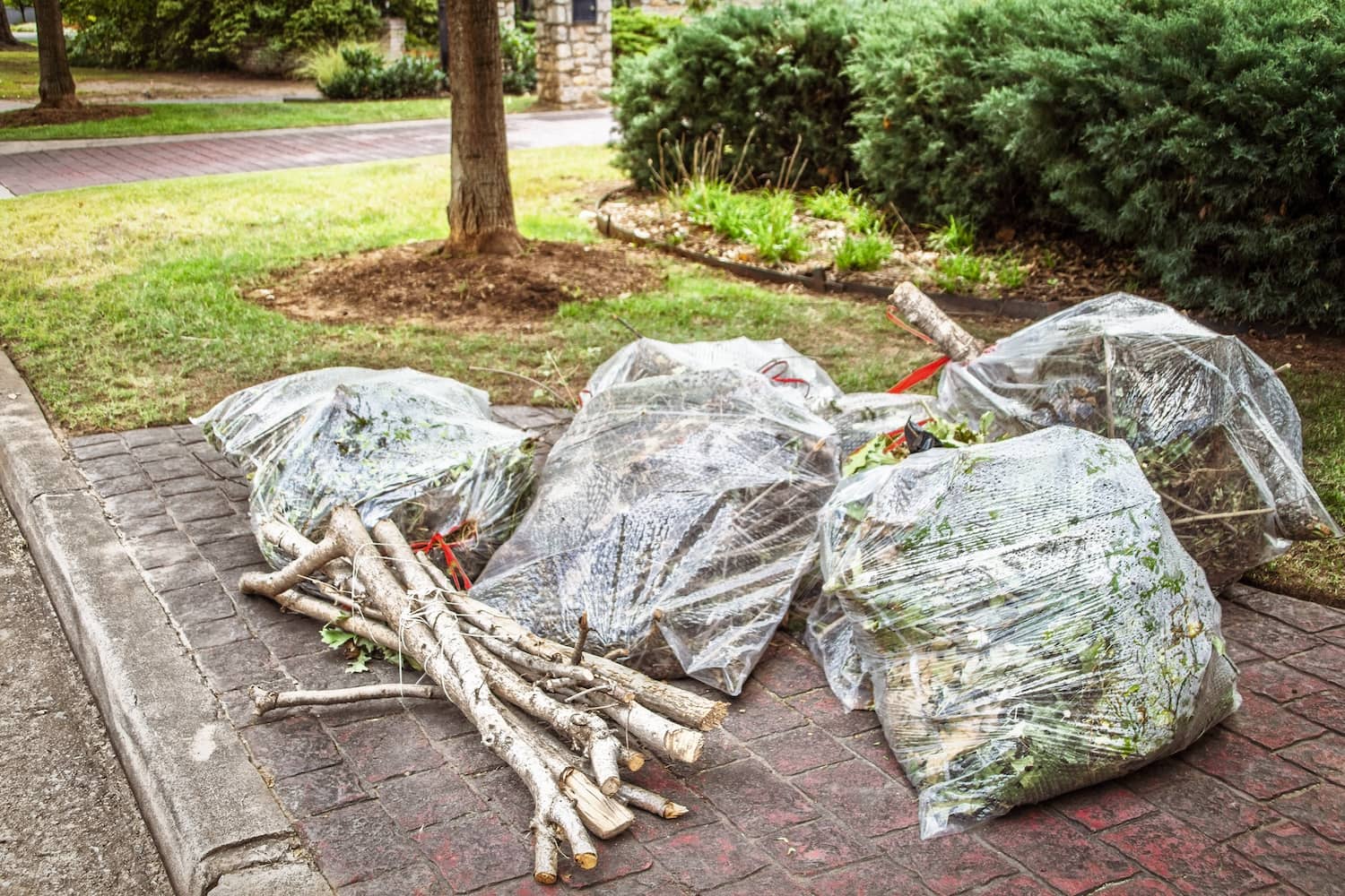 Since opossums are not blind and see well at night, keeping yards clean helps prevent issues