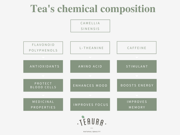 Chemical composition of tea: polyphenols, l-theanine, caffeine 