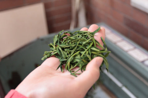 Wilted tea leaves follow pan frying