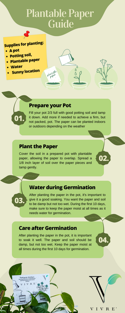 What is Plantable Seed Paper and How Does it Work? – VIVRE