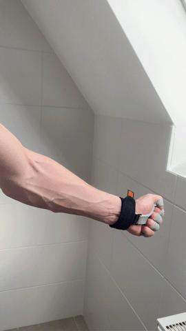 Gripster Grip Strengthener – TheHorneKrew
