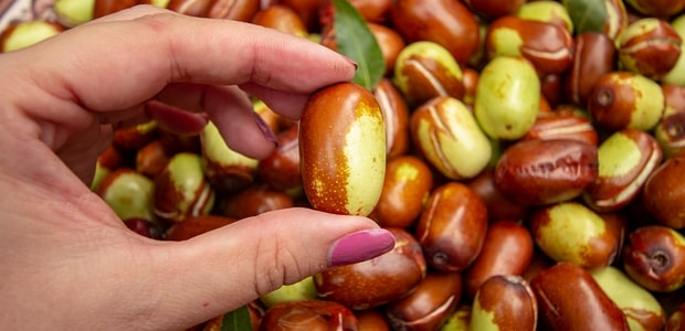 What is jojoba seed oil?