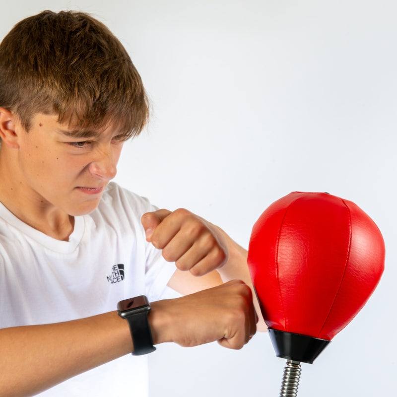 Image of Desktop Punch bag