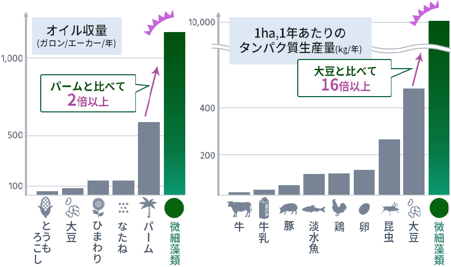 The highest efficiency of material production by photosynthesis