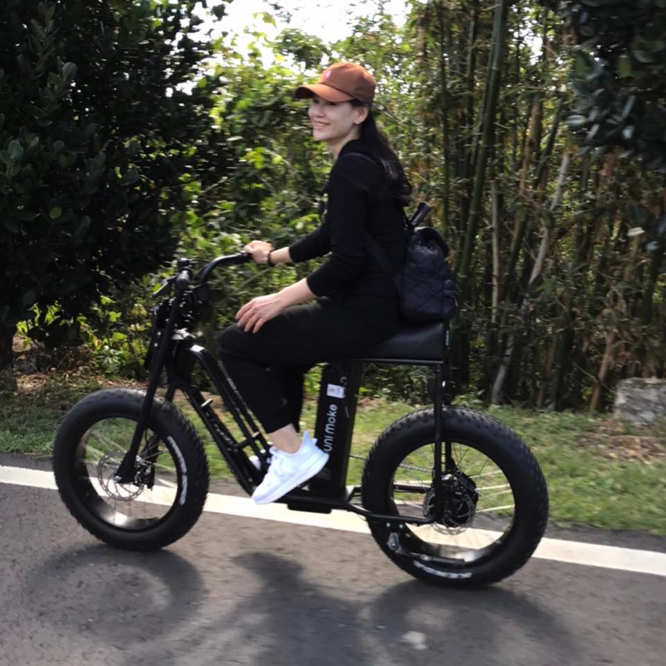 Urban Drivestyle SWING bike, double seat moped style electric fat bike