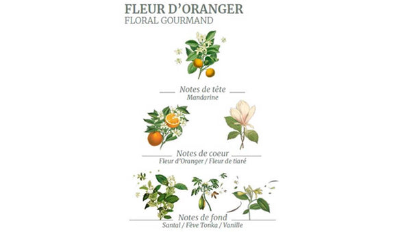 asbolue de fleur d'oranger