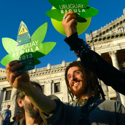 Uruguay legalizes cannabis