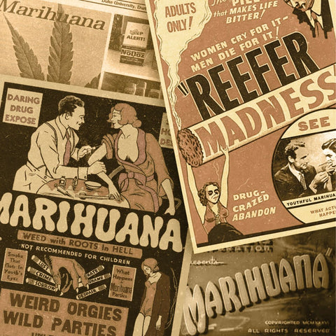 Cannabis prohibition in the 1930s