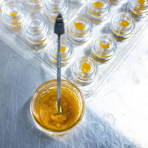 Aromatic and potent live resin