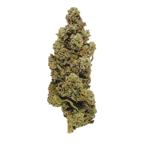 Long Valley Legend: THC 8.5%, CBD 12.4%, Terps 3.6%, Myrcene 2.47%, Pinene 0.28%