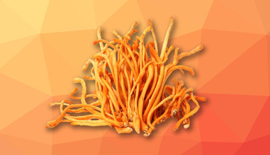 Best Time to Take Cordyceps for Optimal Benefits - Lucid™
