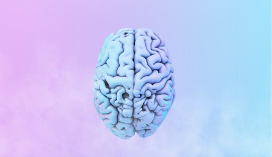 Brain Fog Supplements: Do They Work? - Lucid™