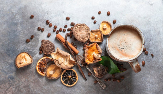 Does Mushroom Coffee Have Caffeine? - Become Lucid™