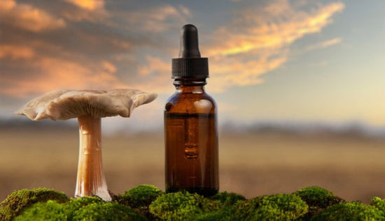 Dual Extract Mushroom vs Hot Water Extract: Which is Best for Mushroom Supplement? - Lucid™