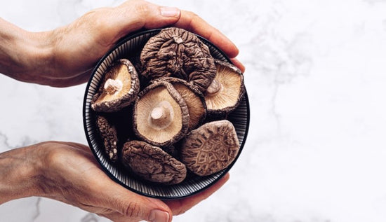 Is There Protein in Mushrooms? - Lucid™