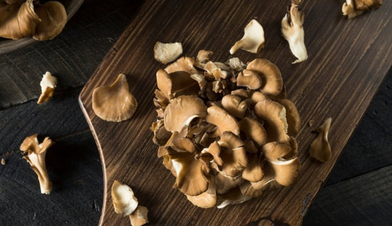 Maitake Mushroom Extract Benefits (& Quality Standards That Matter) - Lucid™