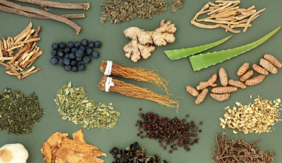 What are Adaptogens? Benefits, Drawbacks, & Where to Start - Lucid™