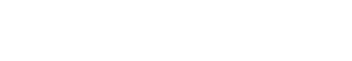 NuBrave Logo