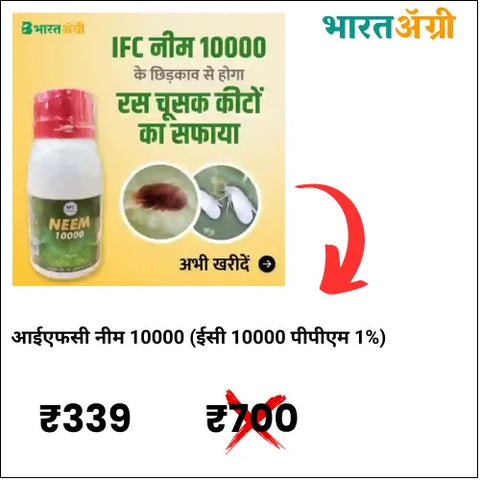 आईएफसी नीम 10000