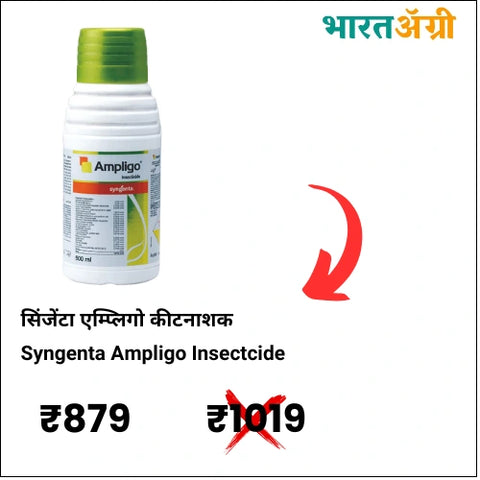 Ampligo Insectcide
