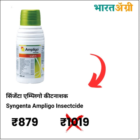 Ampligo Insectcide