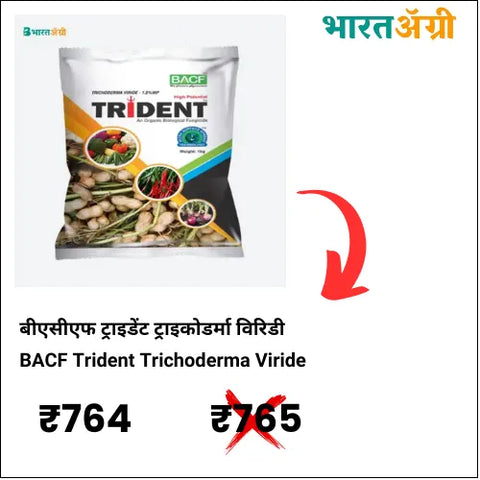 https://krushidukan.bharatagri.com/products/bacf-trident-trichoderma-viride-1-5-wp-insecticide?_pos=1&_sid=92d357404&_ss=r
