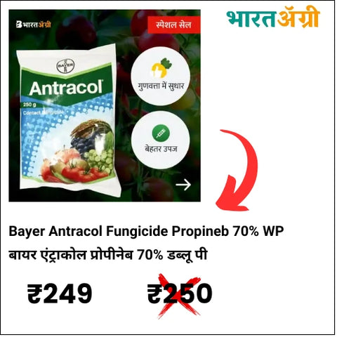 Bayer Antracol