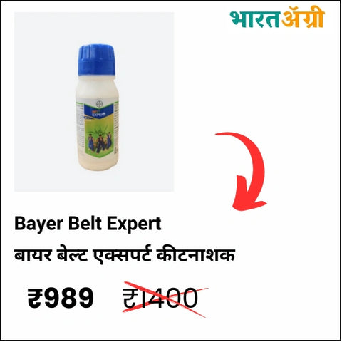 Bayer Belt Expert