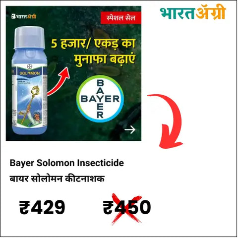 Bayer Solomon