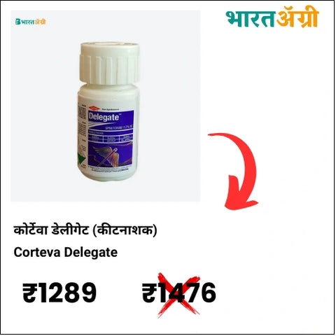 https://krushidukan.bharatagri.com/products/corteva-delegate-insecticide?_pos=1&_sid=ecc634f2e&_ss=r