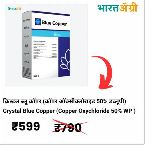 Crystal Blue Copper