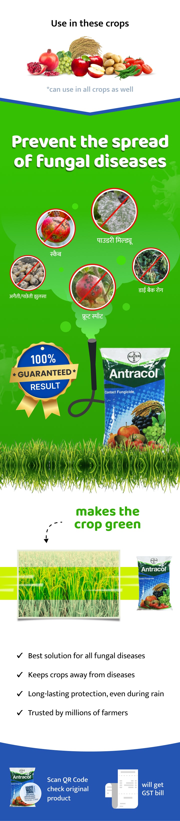 Bayer Antracol (Propineb 70% WP) Fungicide