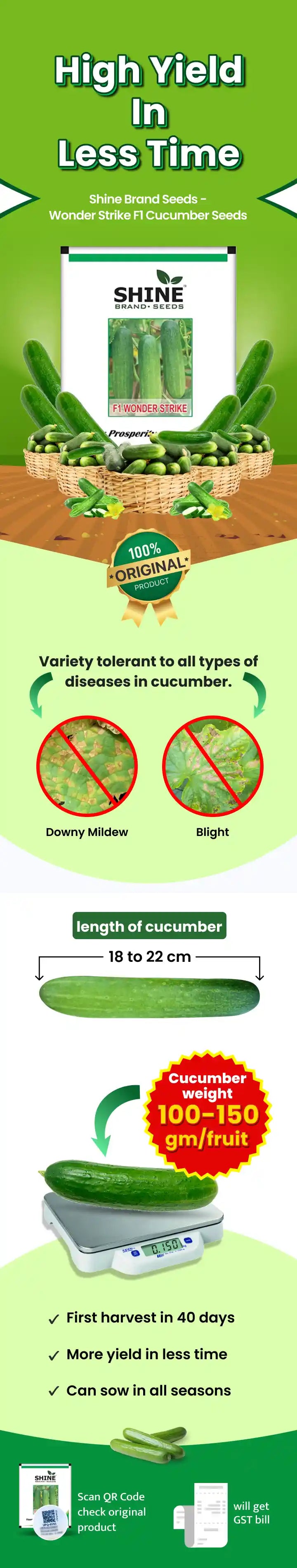 Cucumber Wonder Strike F1 - Shine Brand Seeds